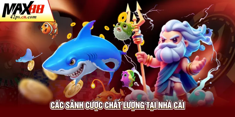 Các sảnh cược chất lượng tại nhà cái